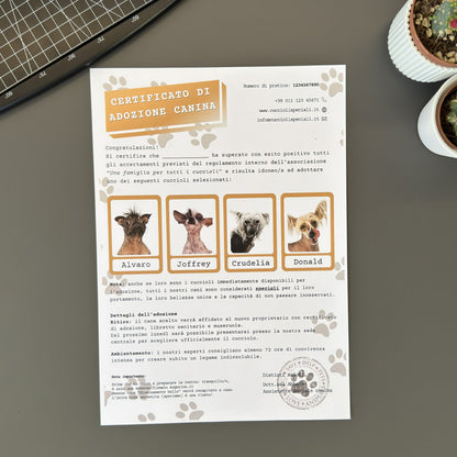 Mockup ironico di augurino del finto voucher per adozione di cani diversamente belli con nomi stravaganti e divertenti