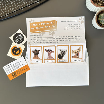 foto prodotto di augurino del finto voucher per adozione di cani diversamente belli con nomi stravaganti e divertenti