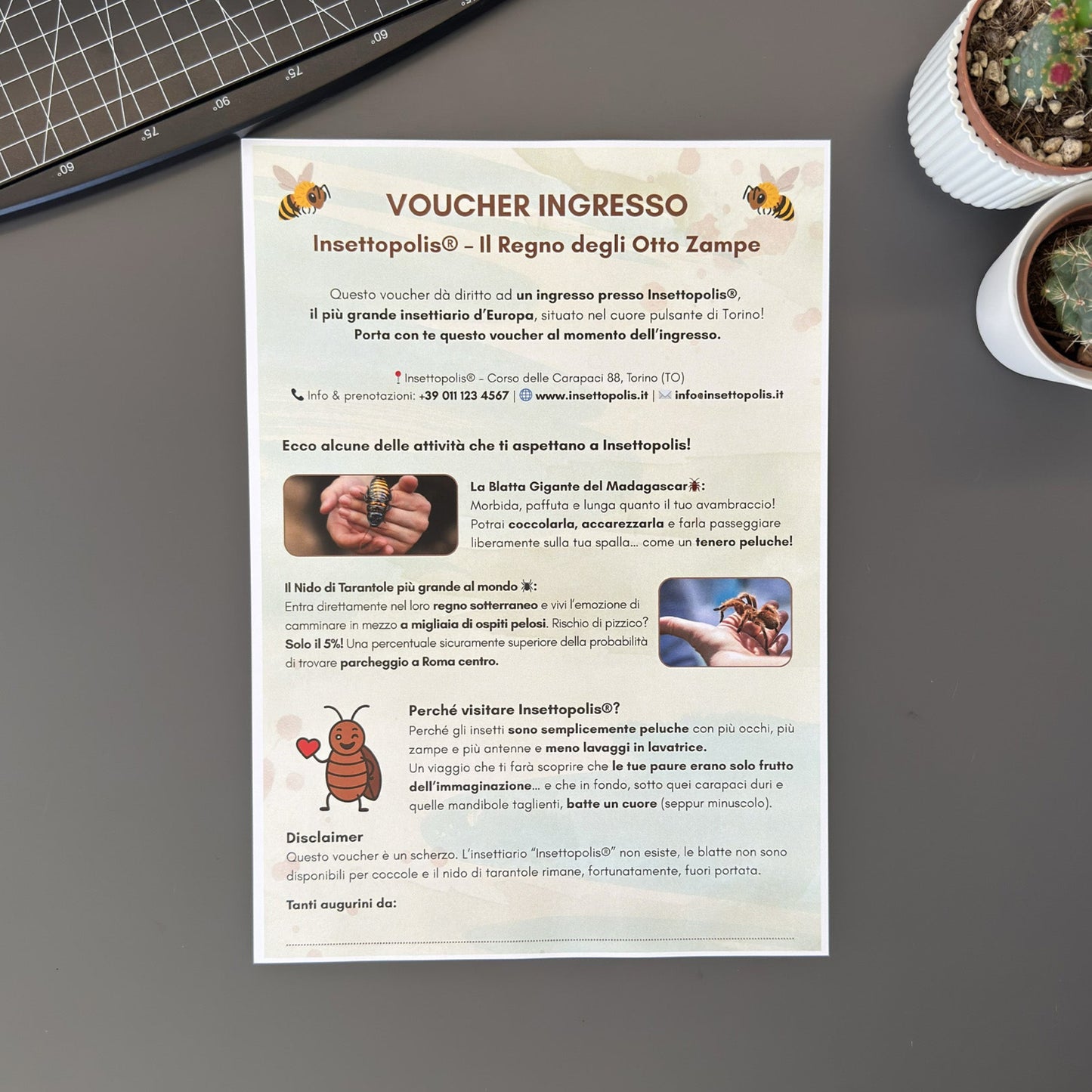 Foto prodotto del finto voucher per una visita all'insettiario più grande d'europa per persone che hanno la fobia degli insetti